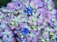 まだ仲間は眠ってる…