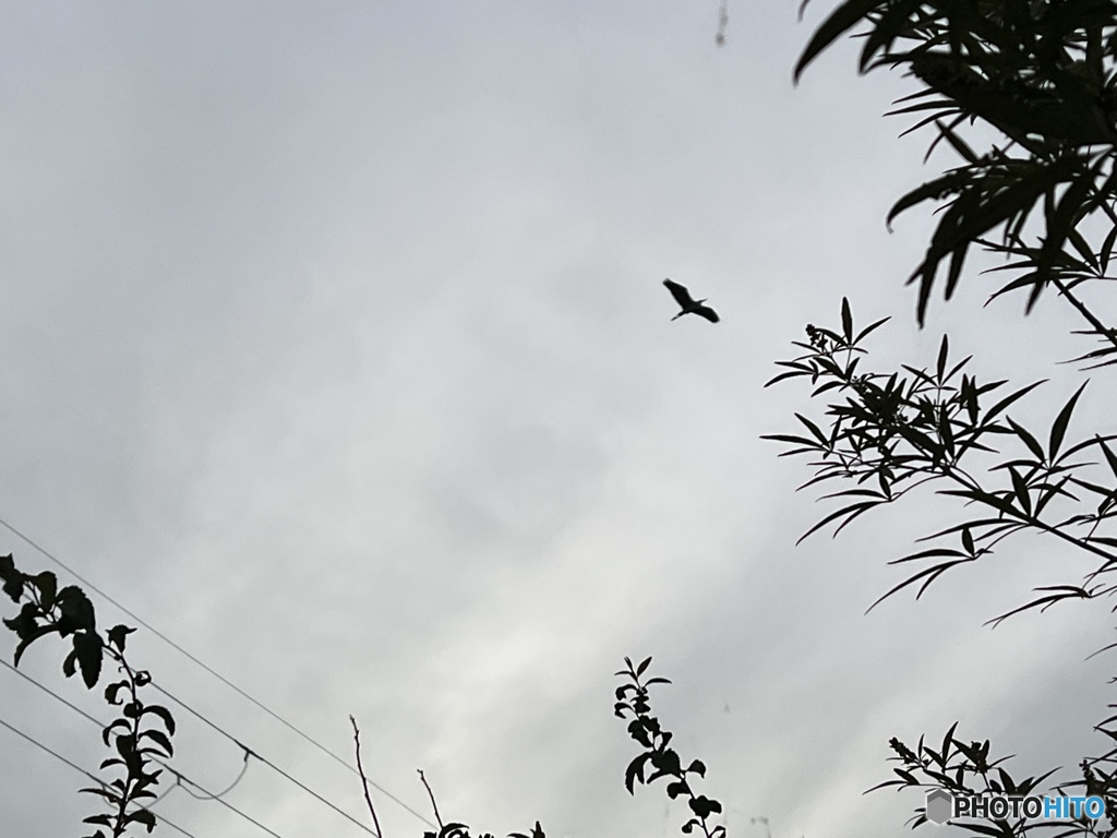 お家に帰ろう…