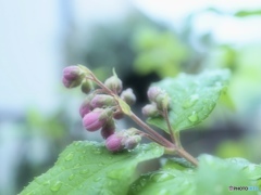 綺麗にお化粧しなくちゃね…