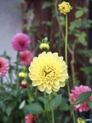 秋ですよ〜
