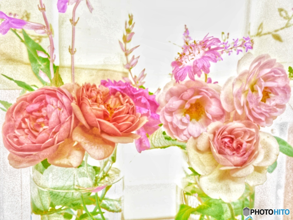 今日の薔薇たち