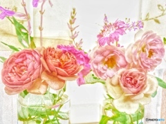 今日の薔薇たち