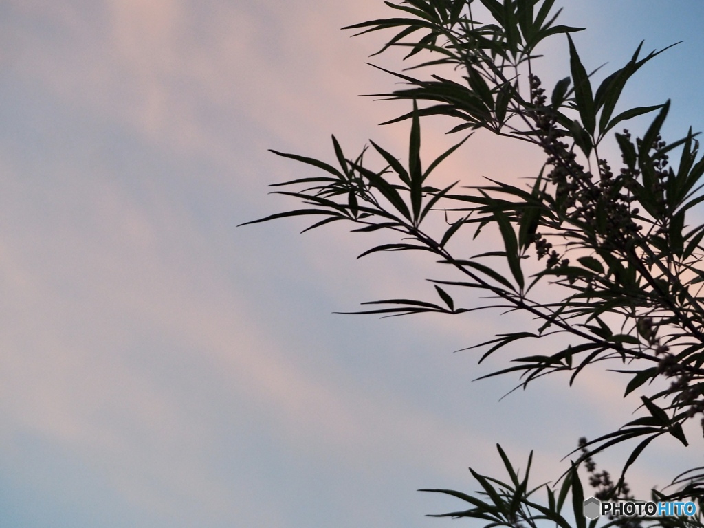 秋は夕暮れ