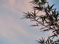 秋は夕暮れ