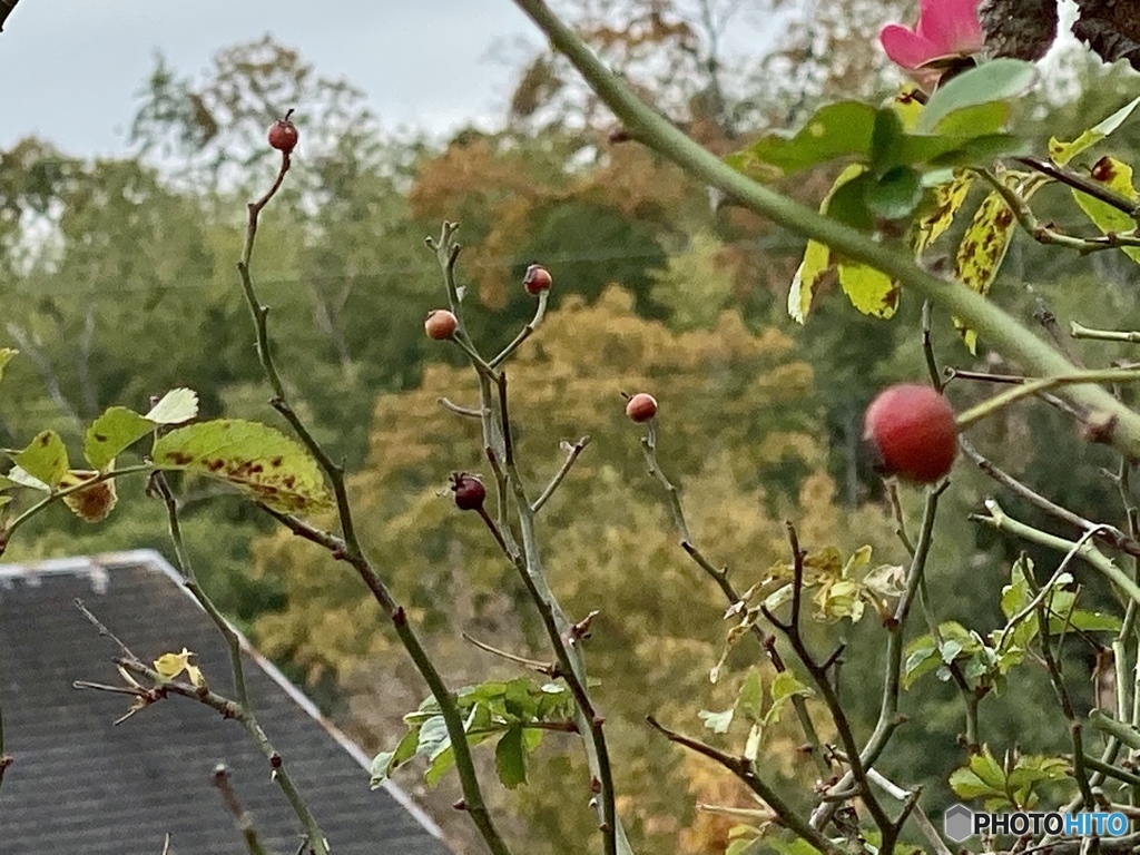 ポツリと降ってきたね…