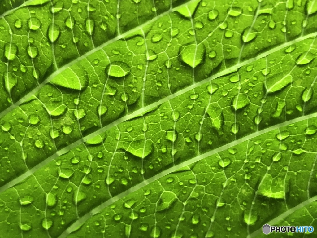 雨は何処に行ったの❓