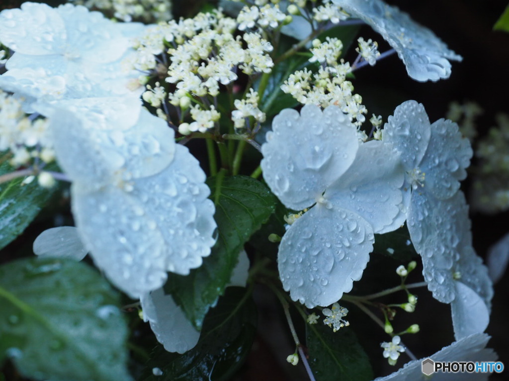 優しい雨が降る日に