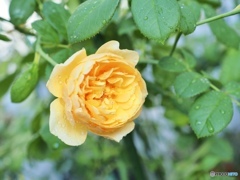 10月3日