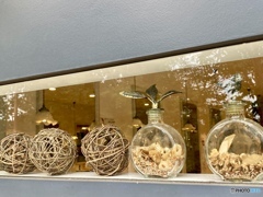 木陰を歩けば…