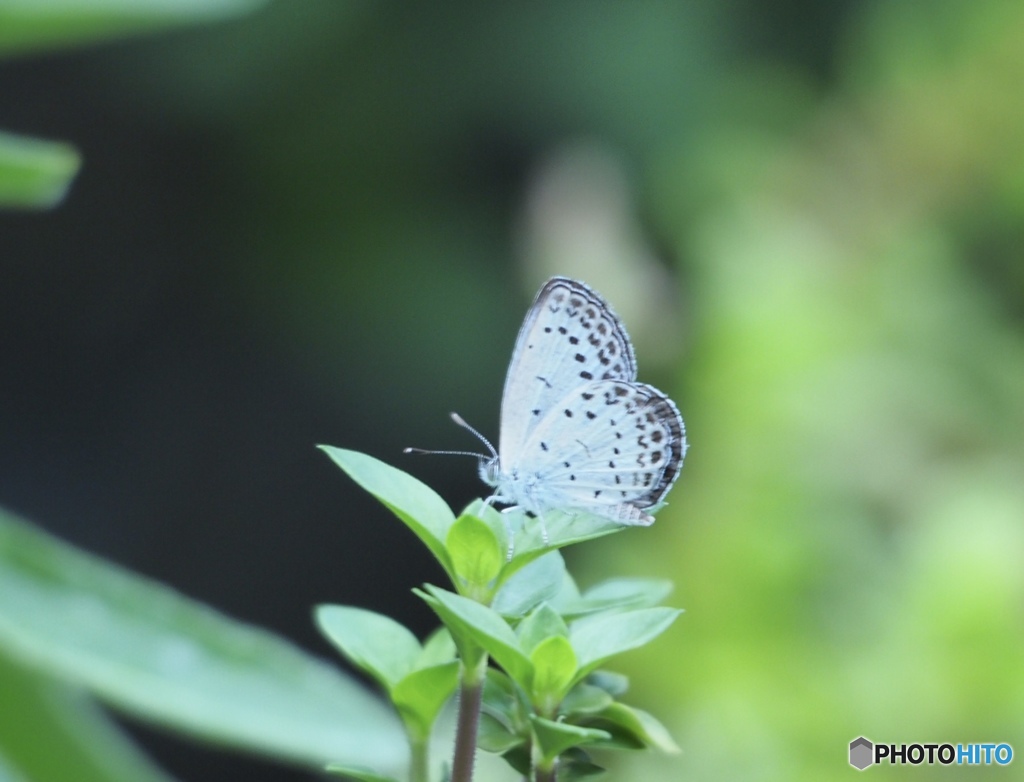 どうぞごゆっくり