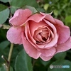 Broderi