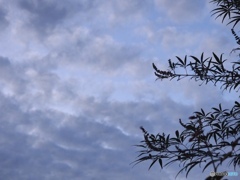 秋は夕暮れ