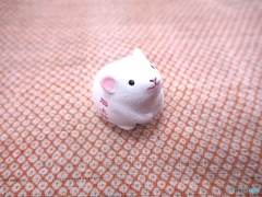 よろしゅうお願いいたします