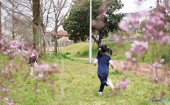 ちょっと待って〜