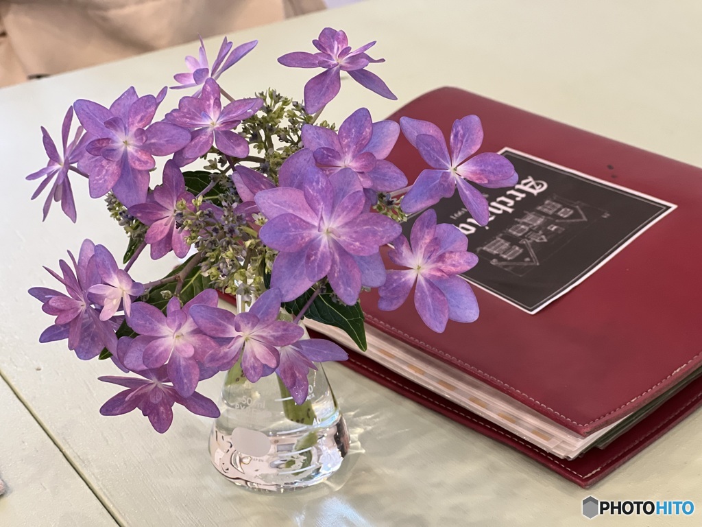 紫陽花とMenu book