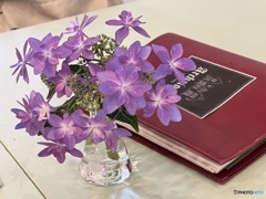 紫陽花とMenu book