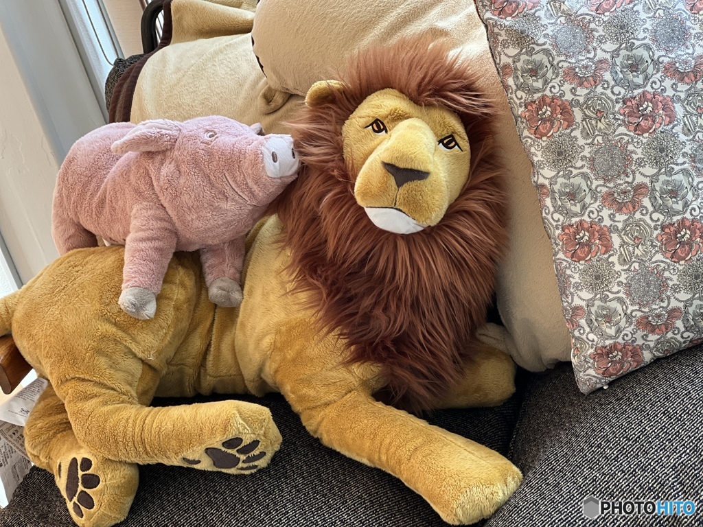 此処がイイのよってキミが言うから