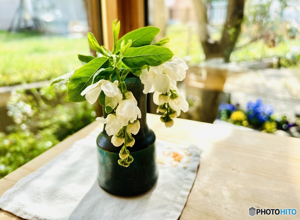 Spring  day