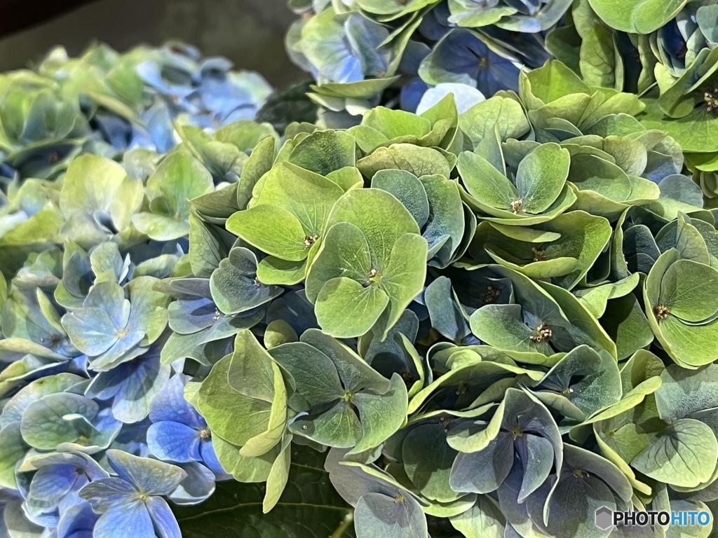 Changing colors