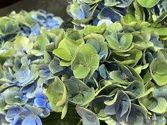 Changing colors