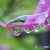 Pink small love