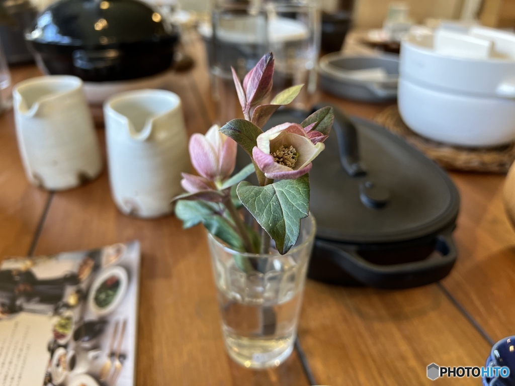 春ですね〜ってキミが囁く