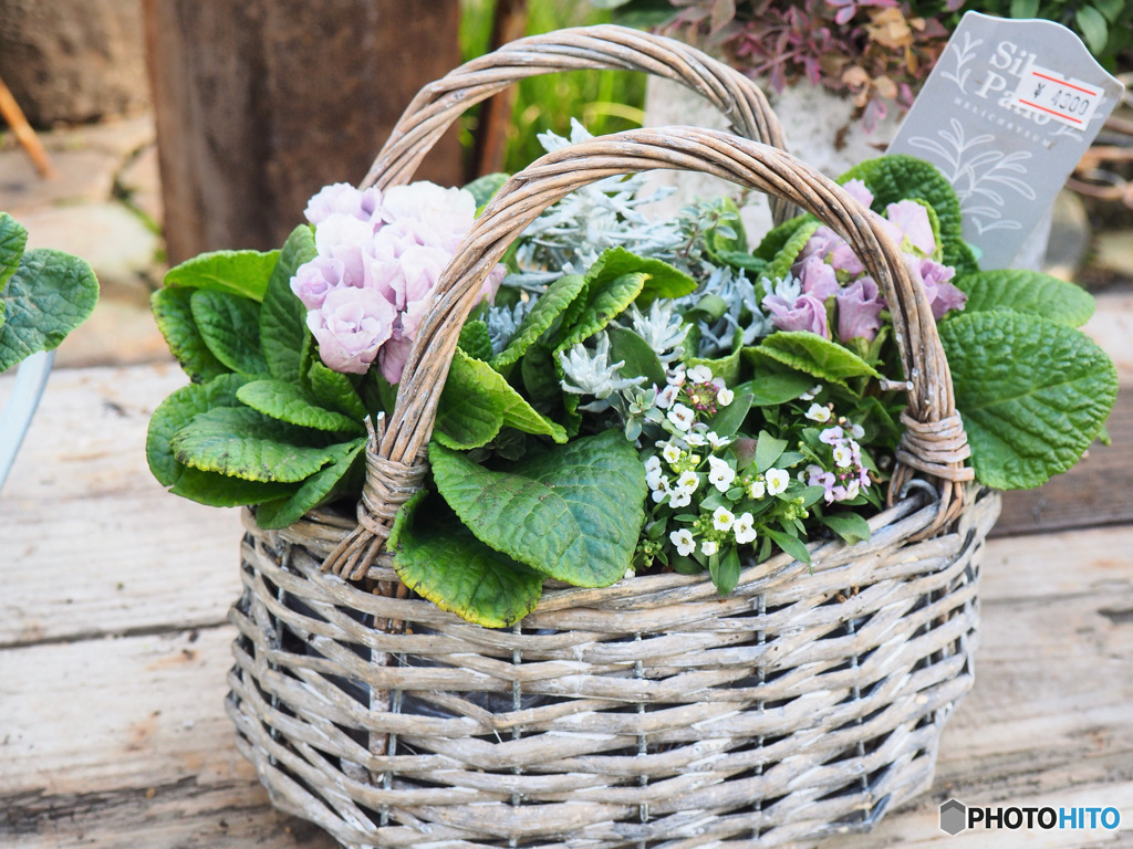 冬のFlower basket