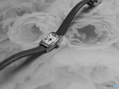 気分を変えてmonochrome