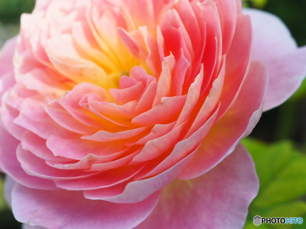 秋に囁く…その④