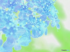 弾ける