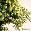 Happy yellow
