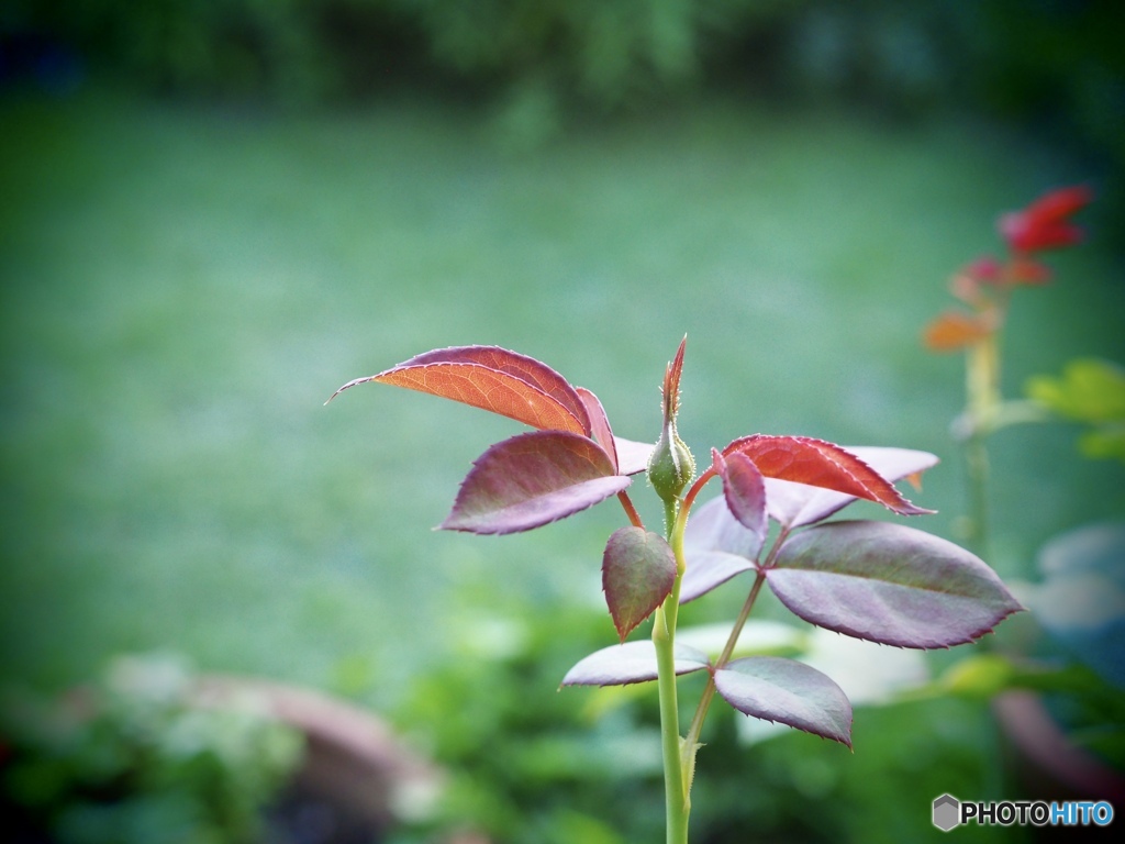 8月19日