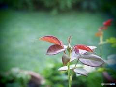 8月19日