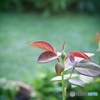8月19日