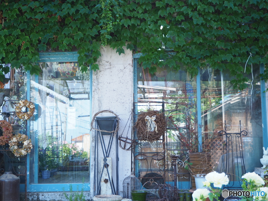 ６月１日のわたし