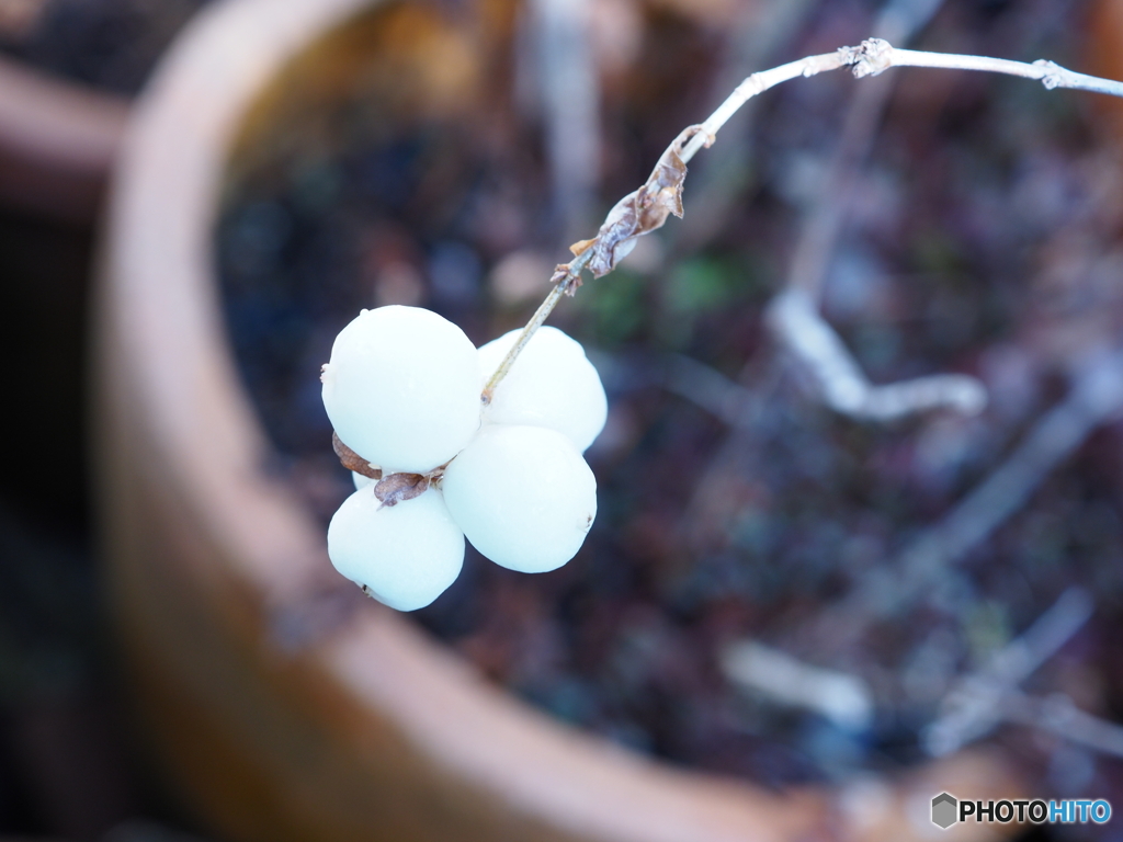 ゆらり・ゆらりと