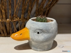 キミは元気なのかな？