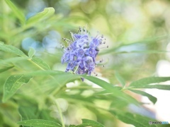 8月2日