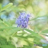 8月2日