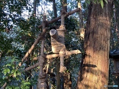 何を見てるのかな？