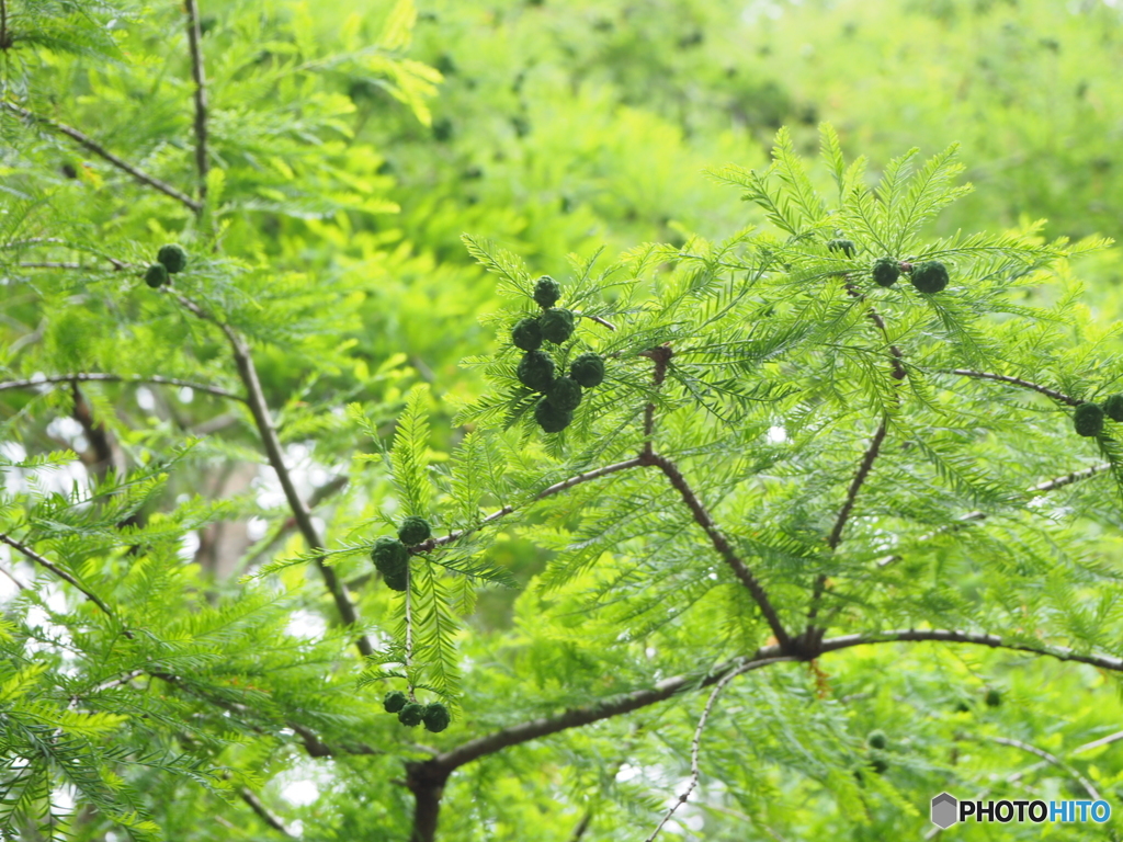 爽やかな風を感じて