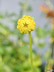 10月27日
