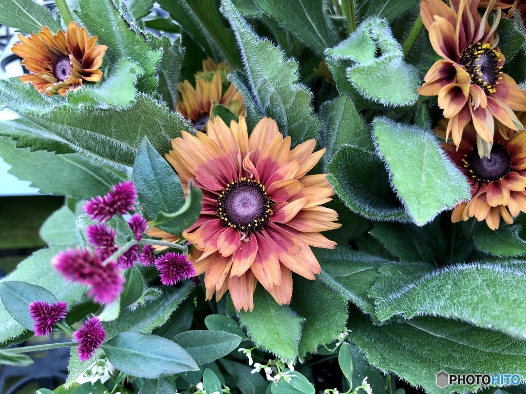 夏なんだなぁ…