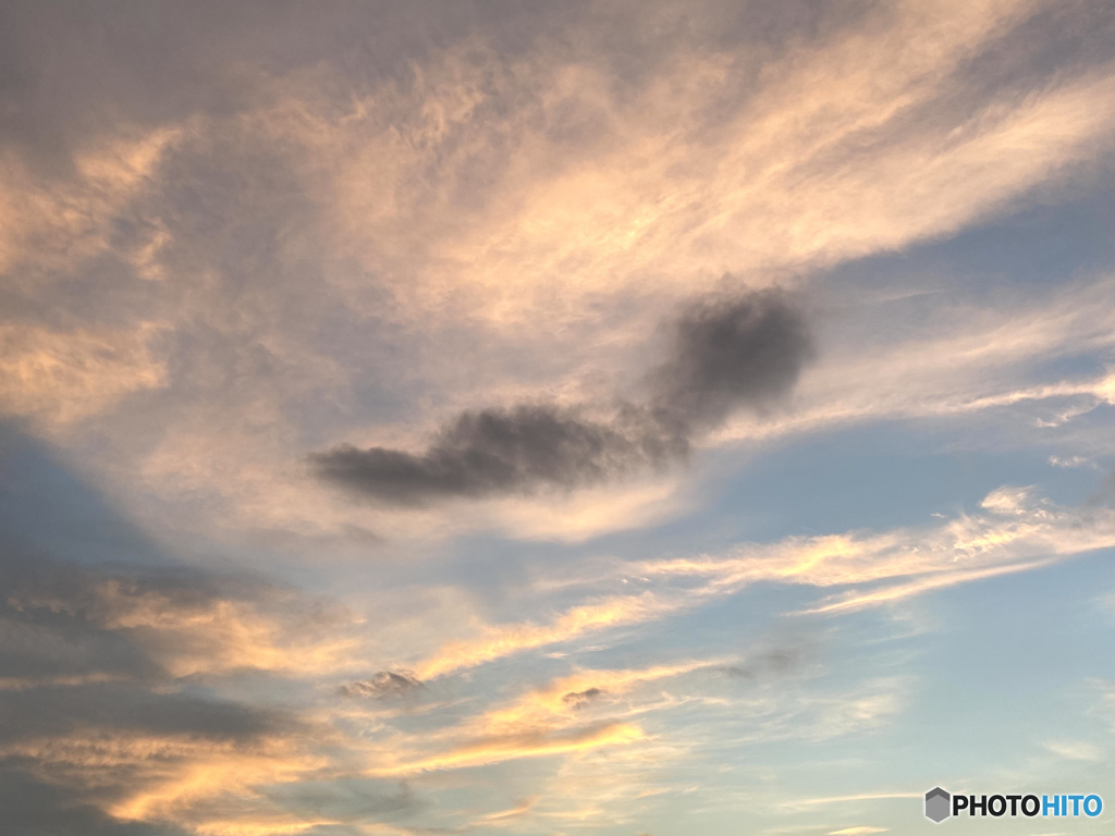 本日の最高気温は35℃