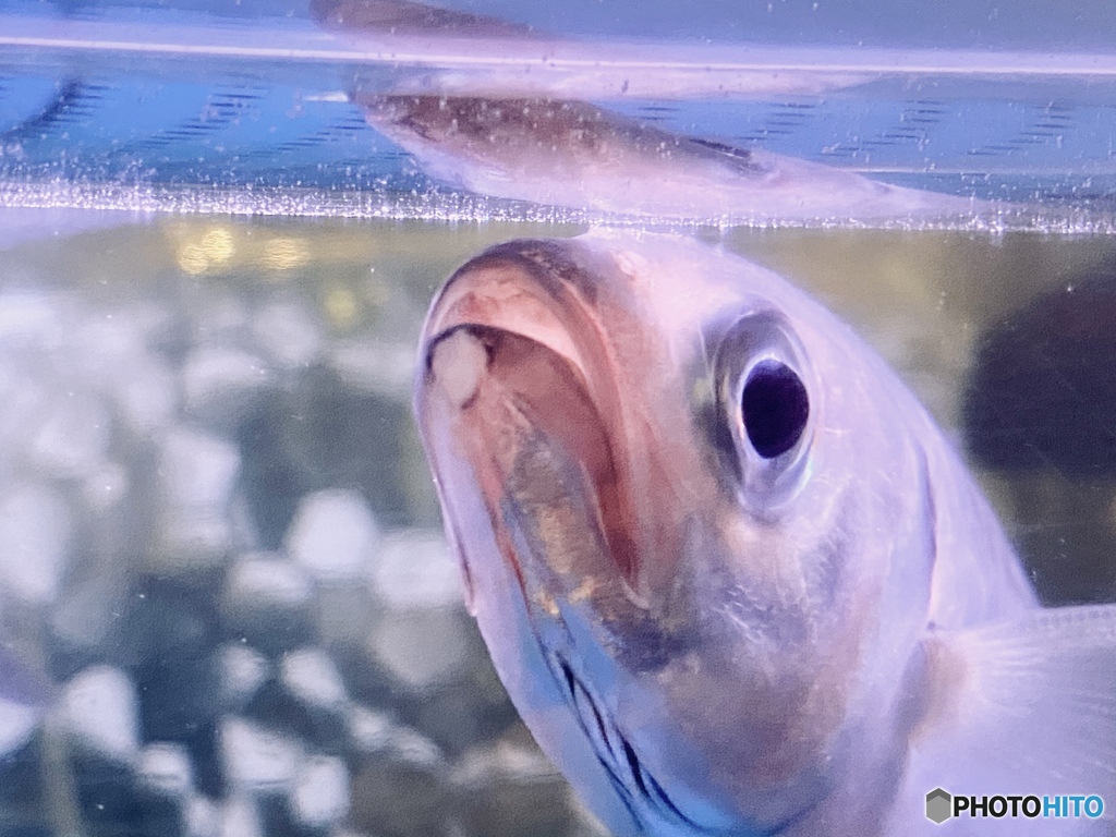 ボクらのセカイ