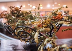 Dry   Flower