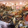 Dry   Flower