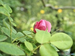 もうちょっとなんだよ〜