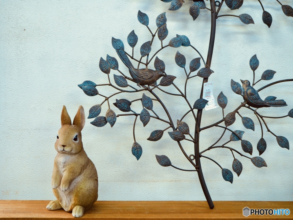 またお立ち寄りくださいネ