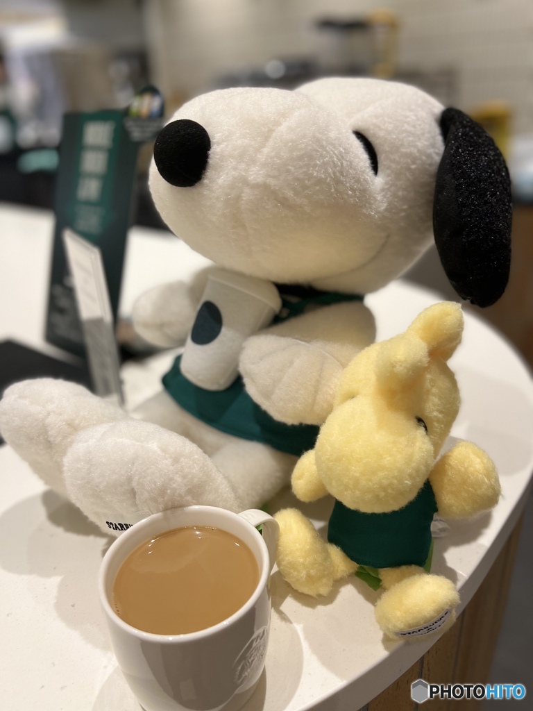 snoopy &  woodstock